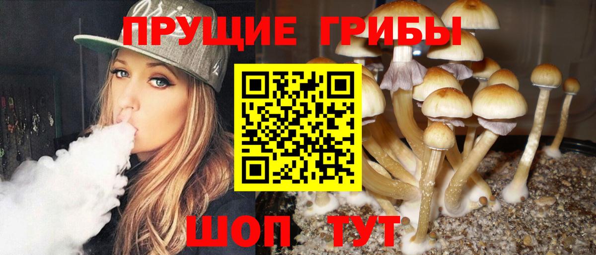 Псилоцибиновые грибы ЛСД Ивантеевка